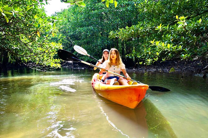 Okinawa Iriomote Mangrove SUP or Canoe Tour - The 2 Stops That Make the Paddle Feel Like a Route, Not a Loop