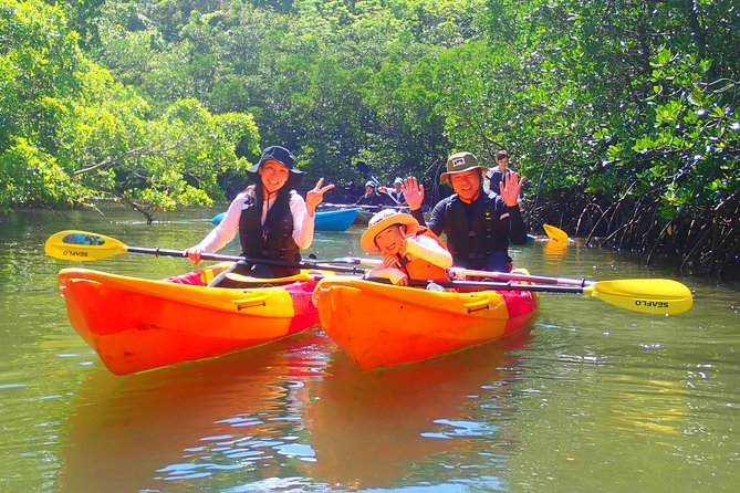 Okinawa Iriomote Mangrove SUP or Canoe Tour - The Free Waterproof Photo Data: Why It’s Worth Paying Attention To