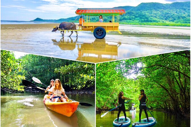 Okinawa Iriomote SUP or Canoe and Sightseeing in Yubujima Island - Key Things I’d Notice Before You Go