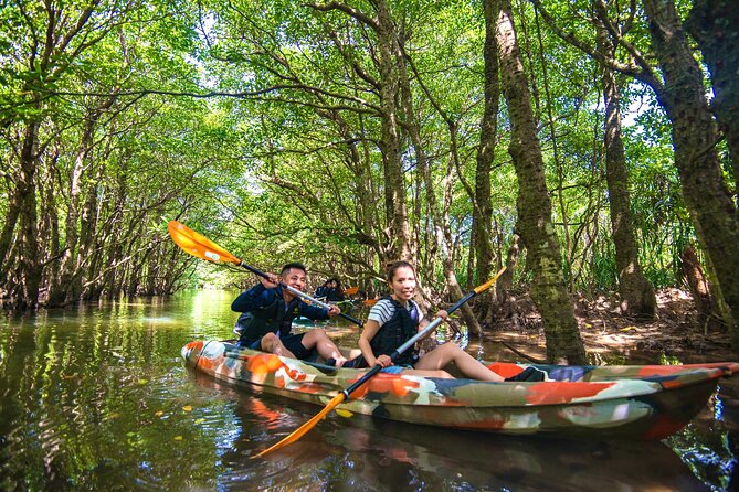 Okinawa Iriomote SUP or Canoe and Sightseeing in Yubujima Island - Mangrove Calm, SUP vs Canoe, and Why This Works for Beginners