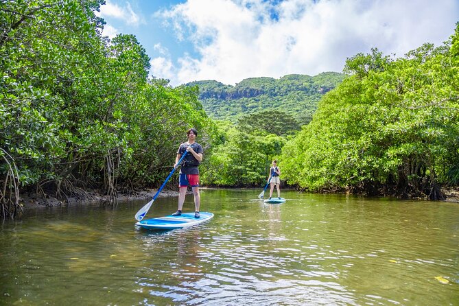 Okinawa Iriomote SUP or Canoe and Sightseeing in Yubujima Island - Safety and Comfort: Life Jackets, Wet Clothes, Shoes, and No Toilets