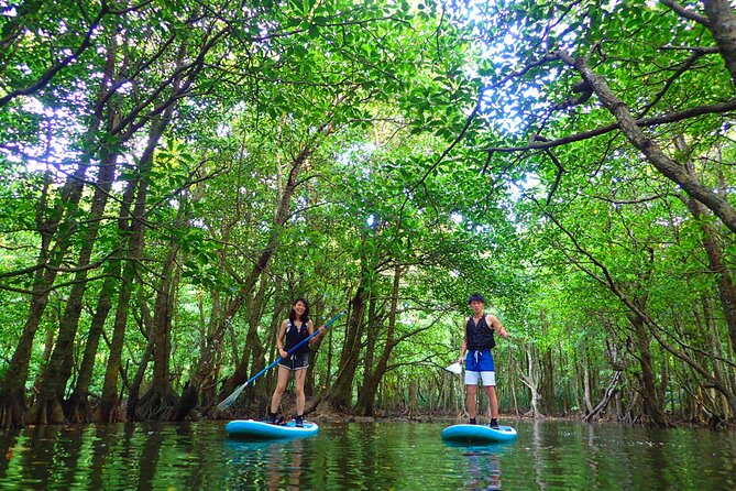 Okinawa Iriomote SUP or Canoe and Sightseeing in Yubujima Island - Yubu-jima and Iriomote-jima: What You Do in the Morning vs Afternoon