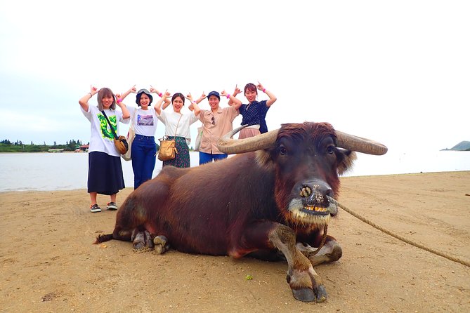 Okinawa Iriomote SUP or Canoe and Sightseeing in Yubujima Island - The Photo Data Bonus: Waterproof Shots You Don’t Have to Gamble On