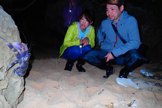 Okinawa Iriomotejima Night Adventure Tour - Eco-friendly guiding you can feel in your behavior