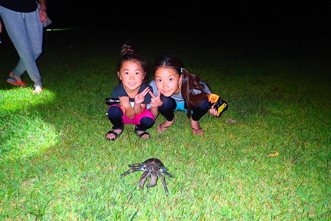 Okinawa Iriomotejima Night Adventure Tour - Creature hunting with UV lights along the jungle coastline
