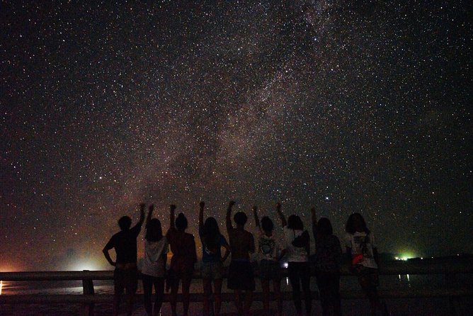 Okinawa Ishigaki Island Night Starry sky and Jungle night tour - Key highlights from this night starry-sky and jungle tour
