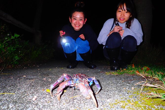 Okinawa Ishigaki Island Night Starry sky and Jungle night tour - What you actually do during the 90 minutes on Ishigaki-jima