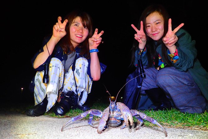 Okinawa Ishigaki Island Night Starry sky and Jungle night tour - The starry sky protected area: when it turns into a natural planetarium
