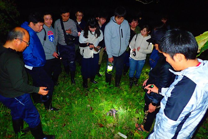 Okinawa Ishigaki Island Night Starry sky and Jungle night tour - Guide style matters: English support, energy, and photo sharing