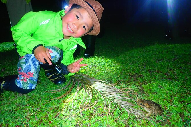 Okinawa Ishigaki Island Night Starry sky and Jungle night tour - Subtropical creatures: the main reason people book this at night