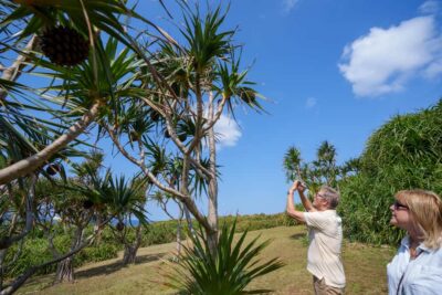 Okinawa Ishigaki Island Private Tour