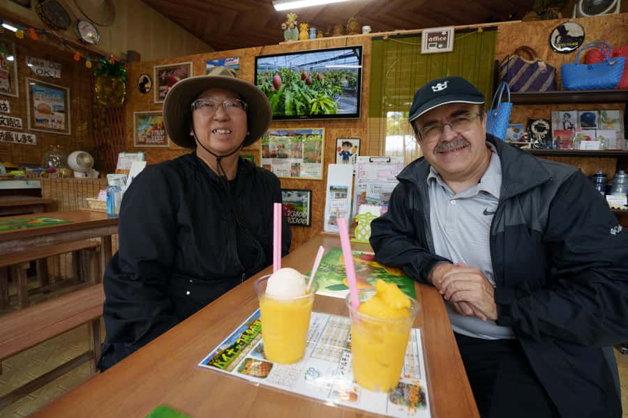 Okinawa Ishigaki Island Private Tour - How customization actually plays out during your 3.5-hour day
