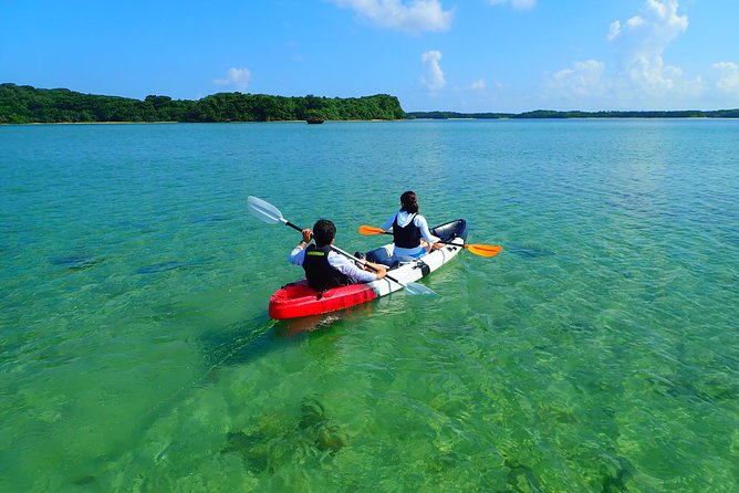 Okinawa Ishigaki Kabira Bay SUP or Canoe Tour - Price and value: what $52.19 buys you