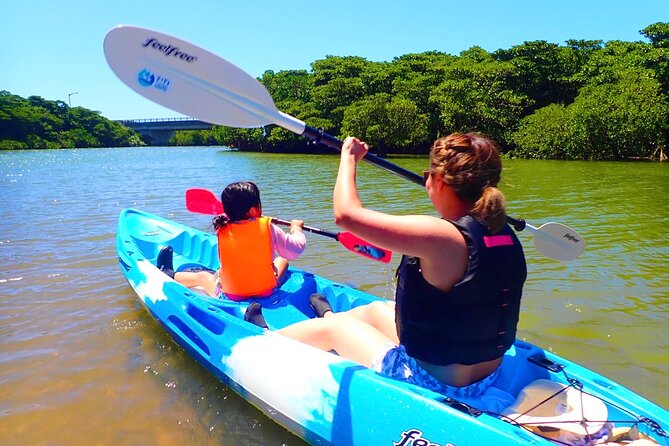 Okinawa Ishigaki Mangrove SUP or Canoe Tour - Key points to know before you go