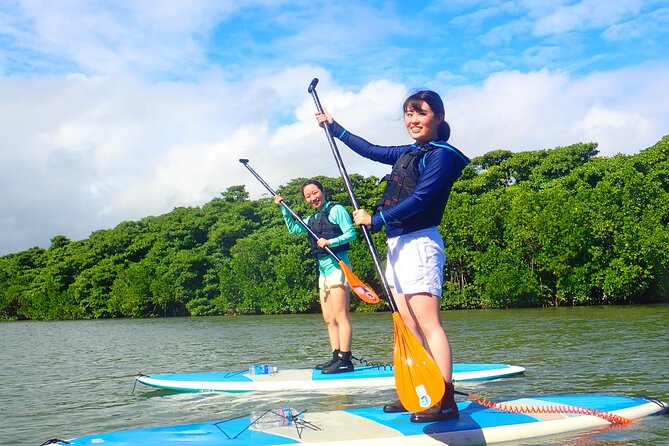 Okinawa Ishigaki Mangrove SUP or Canoe Tour - Why this mangrove paddle in Ishigaki feels different