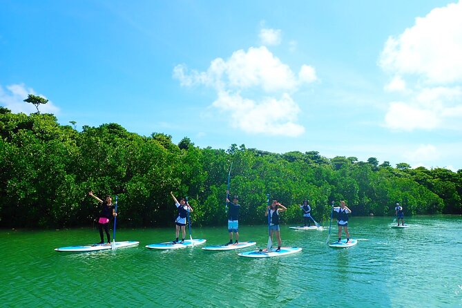 Okinawa Ishigaki Mangrove SUP or Canoe Tour - SUP vs canoe: which one fits your body and your age?