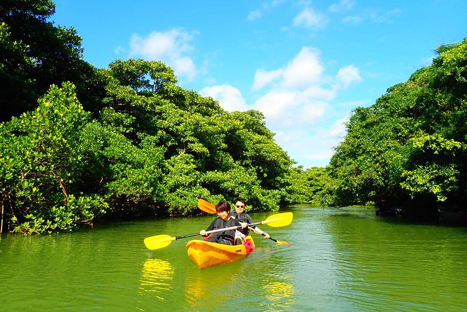 Okinawa Ishigaki Mangrove SUP or Canoe Tour - The full itinerary on the Miyara River, Hirugi Grove, and Ishigaki-jima