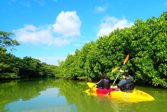 Okinawa Ishigaki Mangrove SUP or Canoe Tour - Why the guides matter, and what you can learn from the paddle
