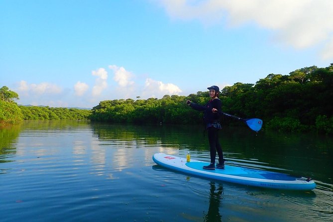 Okinawa Ishigaki Mangrove SUP or Canoe Tour - What to wear and how to stay comfortable for a wet, outdoorsy hour
