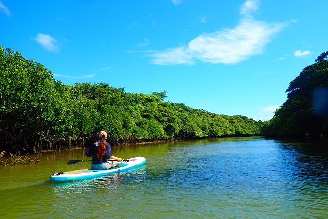 Okinawa Ishigaki Mangrove SUP or Canoe Tour - Wildlife spotting: the fun part, with realistic expectations