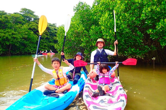 Okinawa Ishigaki Mangrove SUP or Canoe Tour - Price and value: is $52.19 a fair deal?
