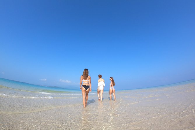 Okinawa Ishigaki Phantom Island Snorkeling Tour - Who should book this Phantom Island snorkeling tour, and who should skip it