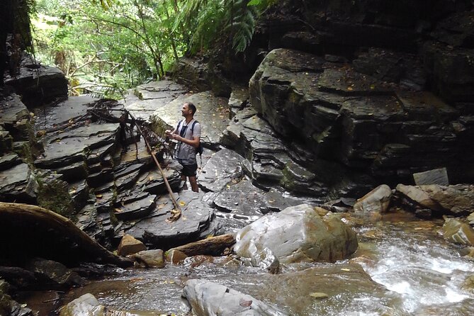 Okinawa Jungle Trails & Waterfalls – Private Yanbaru Tour - Key highlights you will feel on the trail