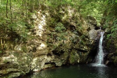 Okinawa Jungle Trails & Waterfalls – Private Yanbaru Tour
