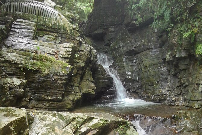 Okinawa Jungle Trails & Waterfalls – Private Yanbaru Tour - Guide Nik and the details that make it feel like a high-quality private tour