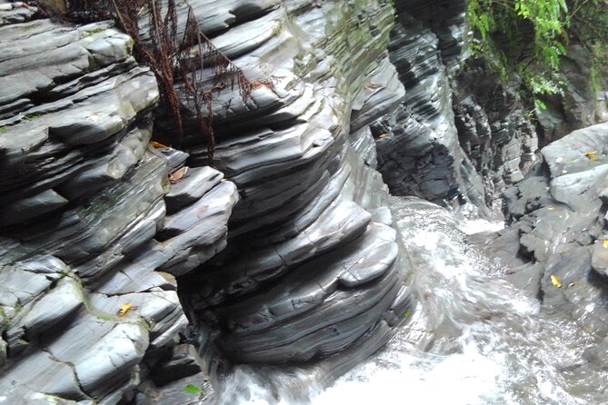 Okinawa Jungle Trails & Waterfalls – Private Yanbaru Tour - Price, time, and value: what you actually get for $69.02