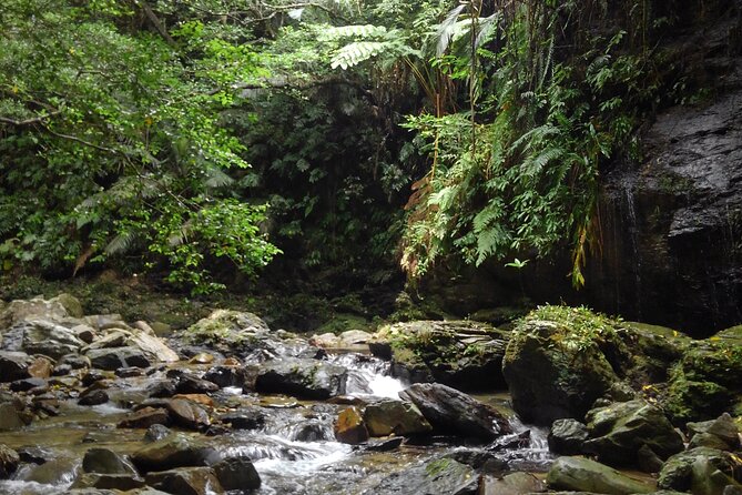 Okinawa Jungle Trails & Waterfalls – Private Yanbaru Tour - Timing, weather, and what to pack so you do not hate the day