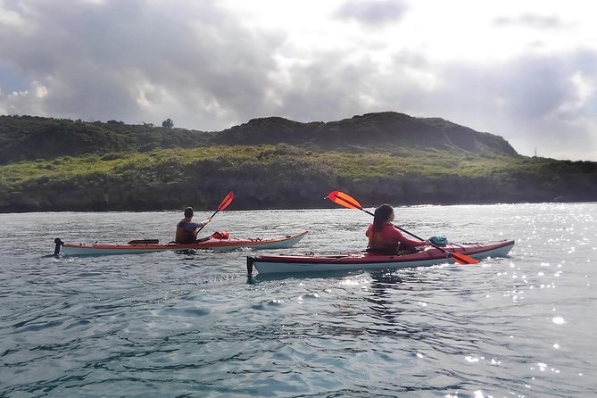 Okinawa: Kayak Mangroves & Ocean Native-English Private Tour - The guide factor: Nik’s calm, flexible style