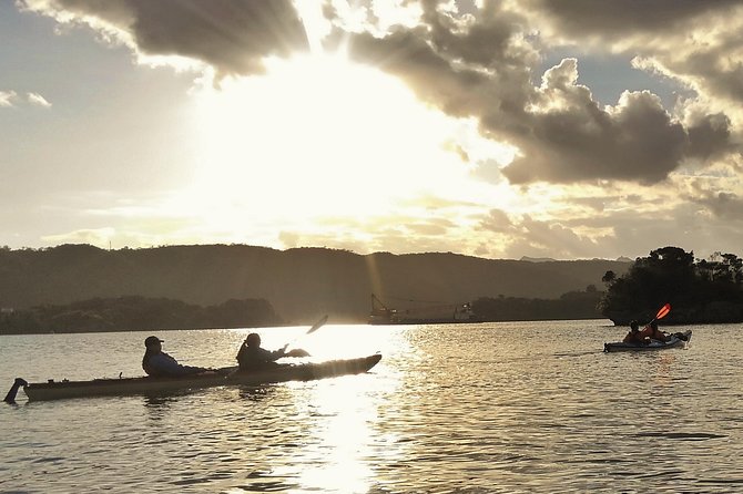 Okinawa: Kayak Mangroves & Ocean Native-English Private Tour - Timing, pacing, and what 2 to 3 hours feels like