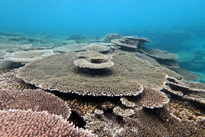 Okinawa: Kayak & Snorkel, Private Tour in Yanbaru - Stop 3 in Motobu-cho: finishing with conditions in mind