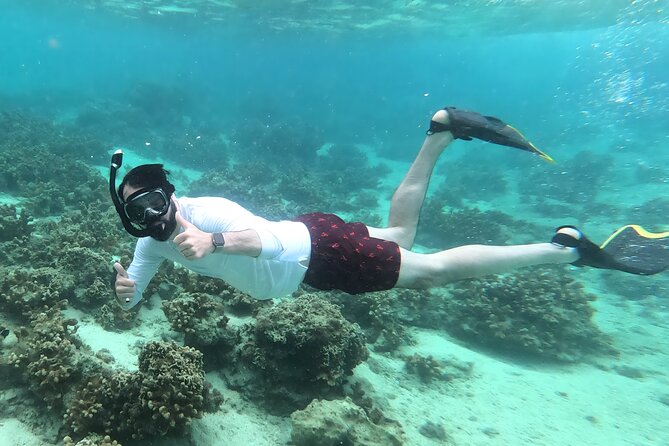 Okinawa: Kayak & Snorkel, Private Tour in Yanbaru - Price and value: what $137.94 covers, and why it can be worth it
