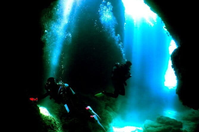 Okinawa:Kerama Islands experience Diving/Snorkeling/WhaleWatching - Intro scuba basics: how they teach you to feel safe fast