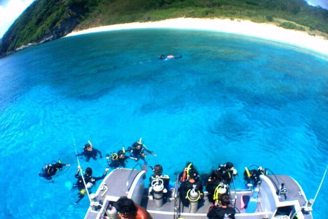 Okinawa:Kerama Islands experience Diving/Snorkeling/WhaleWatching - Whale watching season: January to March, with realistic expectations