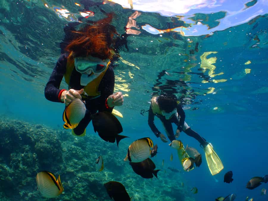 Okinawa : Kerama Whole Day Snorkeling Tour From Chatan/Naha - Quick hits before you go