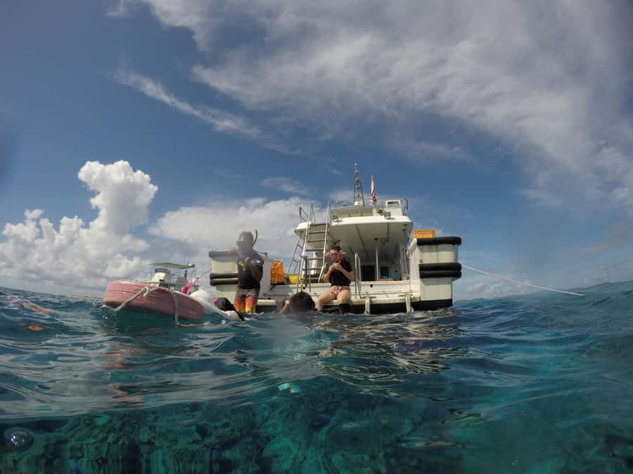 Okinawa : Kerama Whole Day Snorkeling Tour From Chatan/Naha - Your Day on the Water: How the Schedule Works