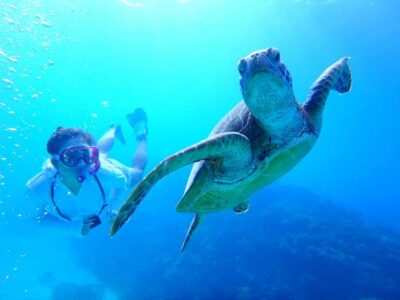 Okinawa : Kerama Whole Day Snorkeling Tour From Chatan/Naha