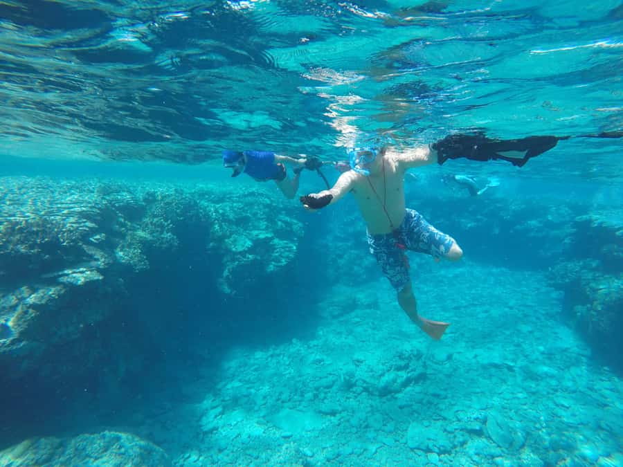 Okinawa : Kerama Whole Day Snorkeling Tour From Chatan/Naha - Safety Rules That Actually Make Sense for First-Timers