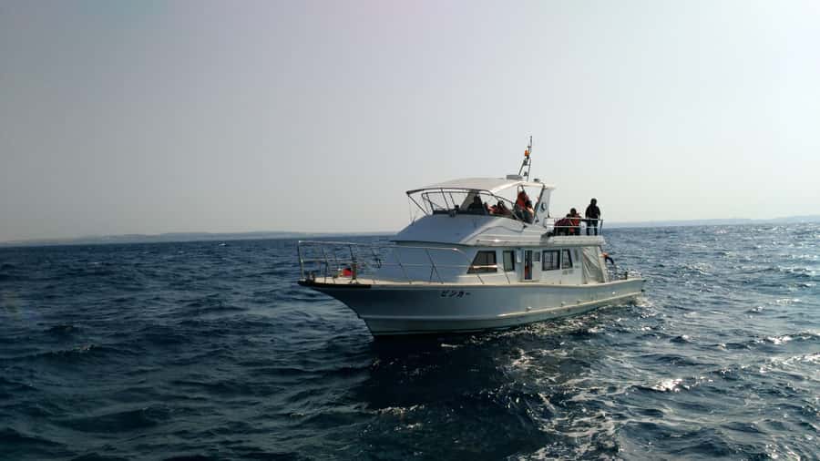 Okinawa : Kerama Whole Day Snorkeling Tour From Chatan/Naha - The Snorkel Points: Coral, Fish, and the Chance at Sea Turtles