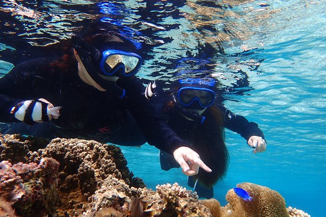 Okinawa Miyako 3set Beach SUP, Snorkeling,Pumpkin Cave,Canoeing - Canoeing to the pumpkin hole: paddling as the bridge between water and cave