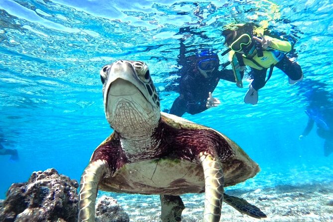 Okinawa Miyako Beach SUP or Canoe and sea turtle Snorkeling - SUP vs canoe: which one fits your comfort level