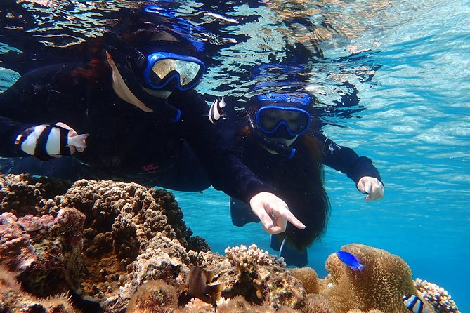 Okinawa Miyako Beach SUP or Canoe and sea turtle Snorkeling - Gear, safety rules, and what can cause a trip to get stopped