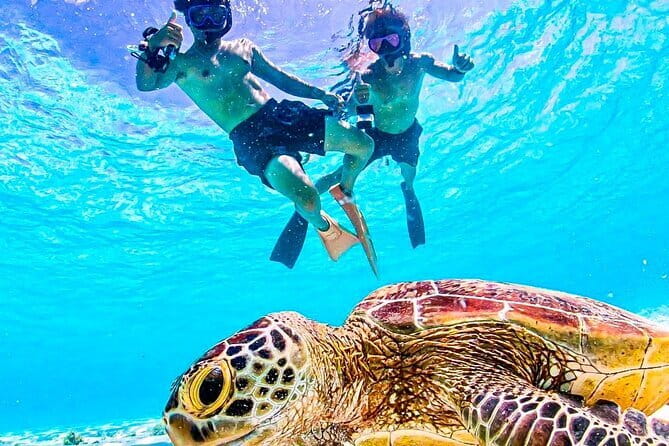 Okinawa Miyako Sea turtle Snorkeling Free Pick up and Drop off - Key highlights you’ll care about
