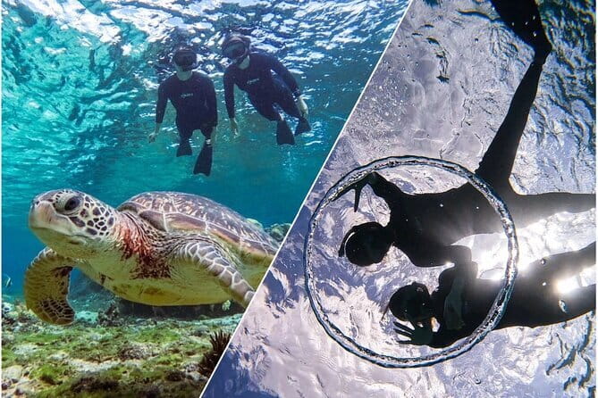 Okinawa Miyako Sea turtle Snorkeling Free Pick up and Drop off - Why Miyakojima’s sea turtle snorkeling is such an easy win