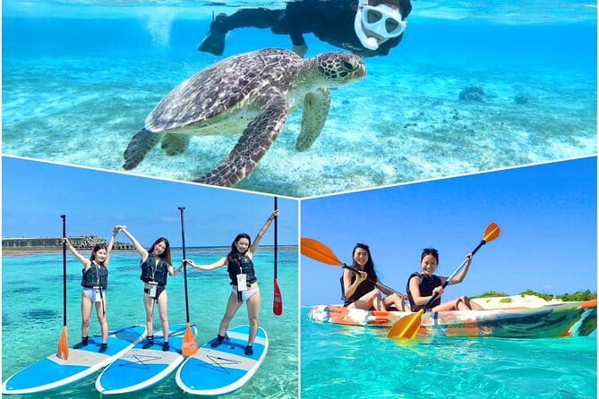 Okinawa Miyako Sea turtle Snorkeling Free Pick up and Drop off - Snorkeling plan: sea turtles and Nemo in Miyakojima water