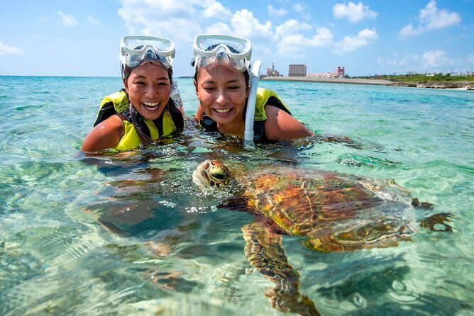 Okinawa Miyako Sea turtle Snorkeling Free Pick up and Drop off - What might feel like a trade-off