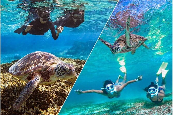 Okinawa Miyako Sea turtle Snorkeling Free Pick up and Drop off - Shigira Beach meeting point and the pickup that saves your day